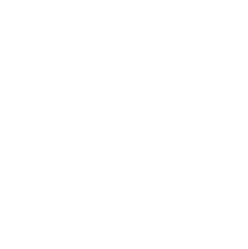 plan acción
